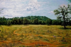 Williamson Mountain at Doss Ranch, 2006, oil-panel, 24 x 48 in. [05] NFS