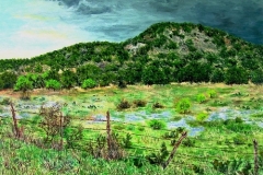 Hill Country Spring Shower, 2003, oil, 18 x 24 in. [38] NFS