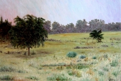 Penick Farm at Smithville, 2002, oil, 24 x 30 in. [10] NFS
