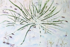 Still Life with Yucca in the Snow, 2007, oil, 18 x 24 in. [19]